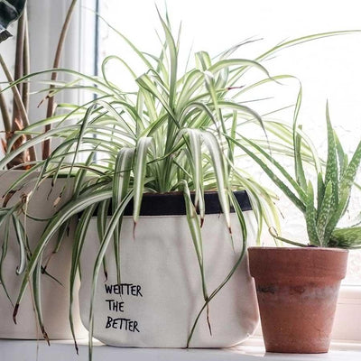 canvas plant pot with wetter the better print on it