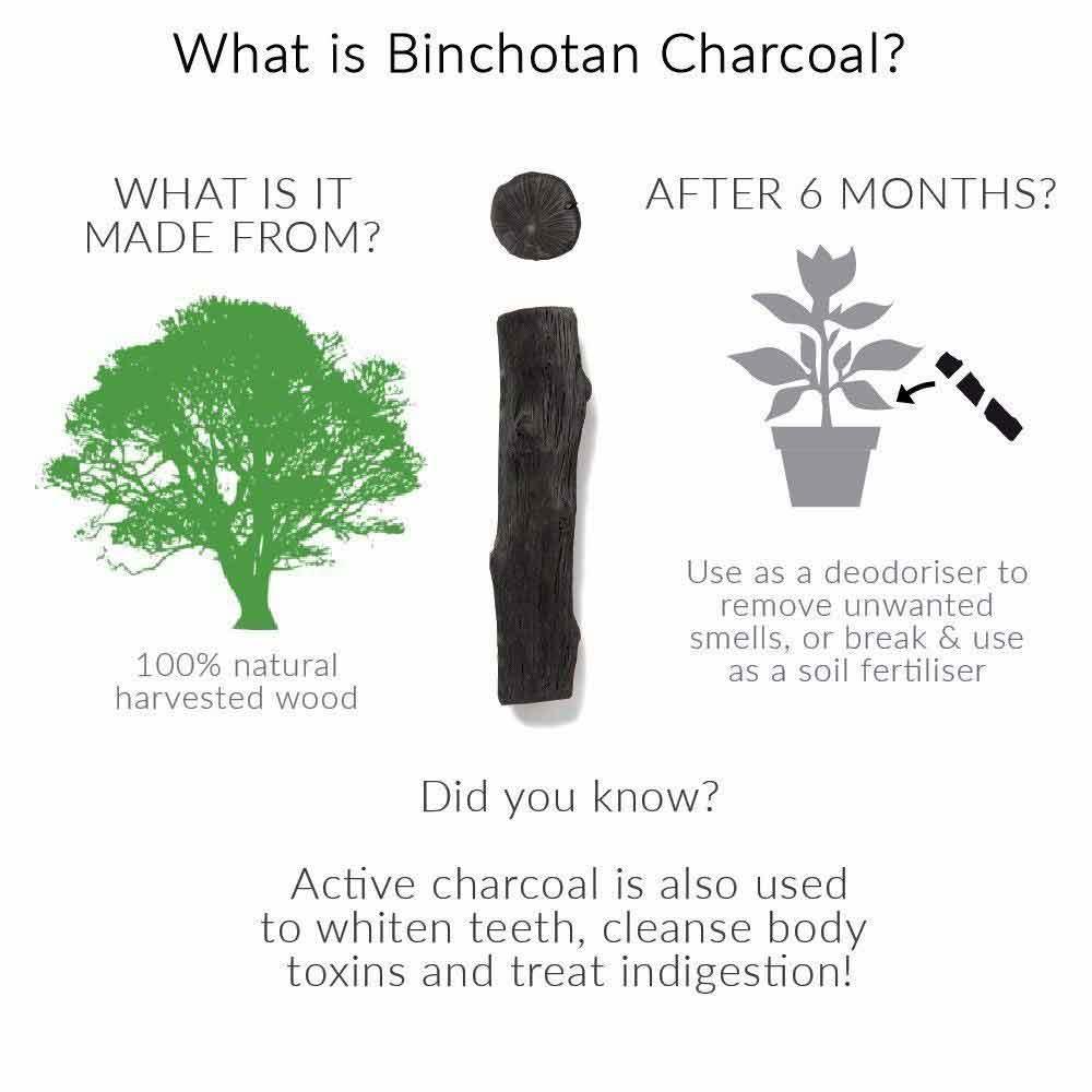 charcoal water filter infographic