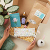 favourites collection pamper gift set