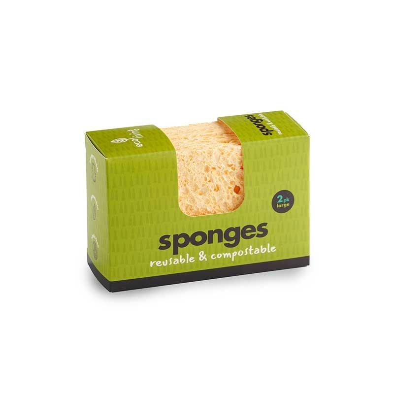 compostable sponge two pack