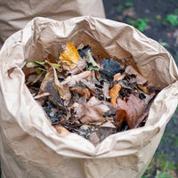 compostable garden waste bags with leaves inside