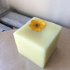 plastic free conditioner with a flower on top