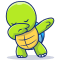 Turtle avatar